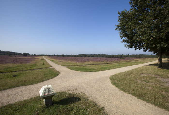 Recreatie in de omgeving